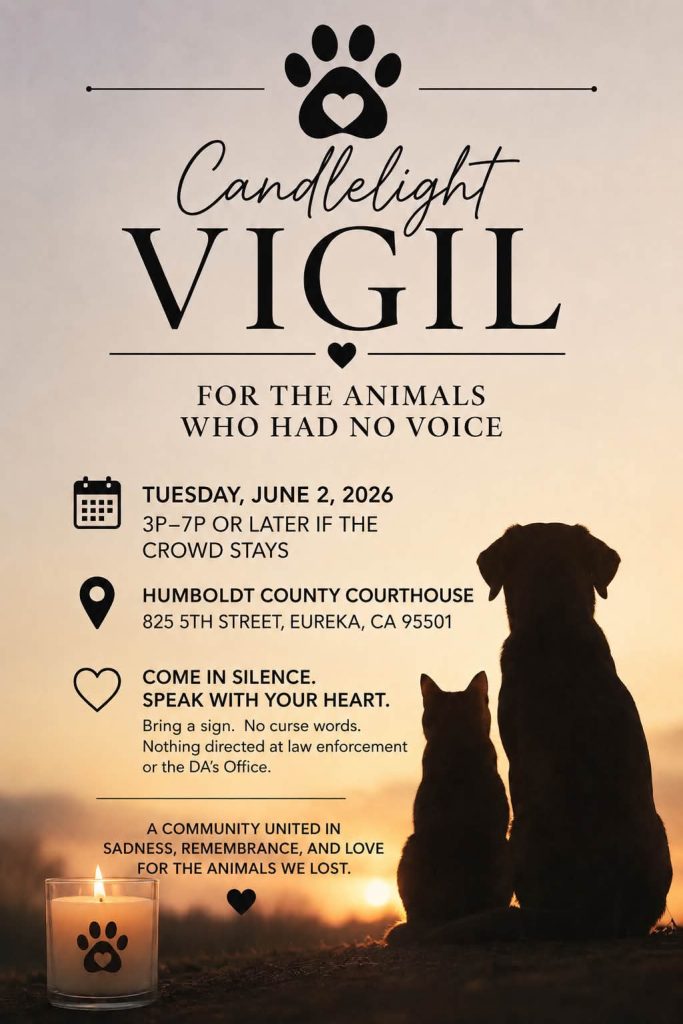 Miranda's Rescue victims, cadlelight vigil